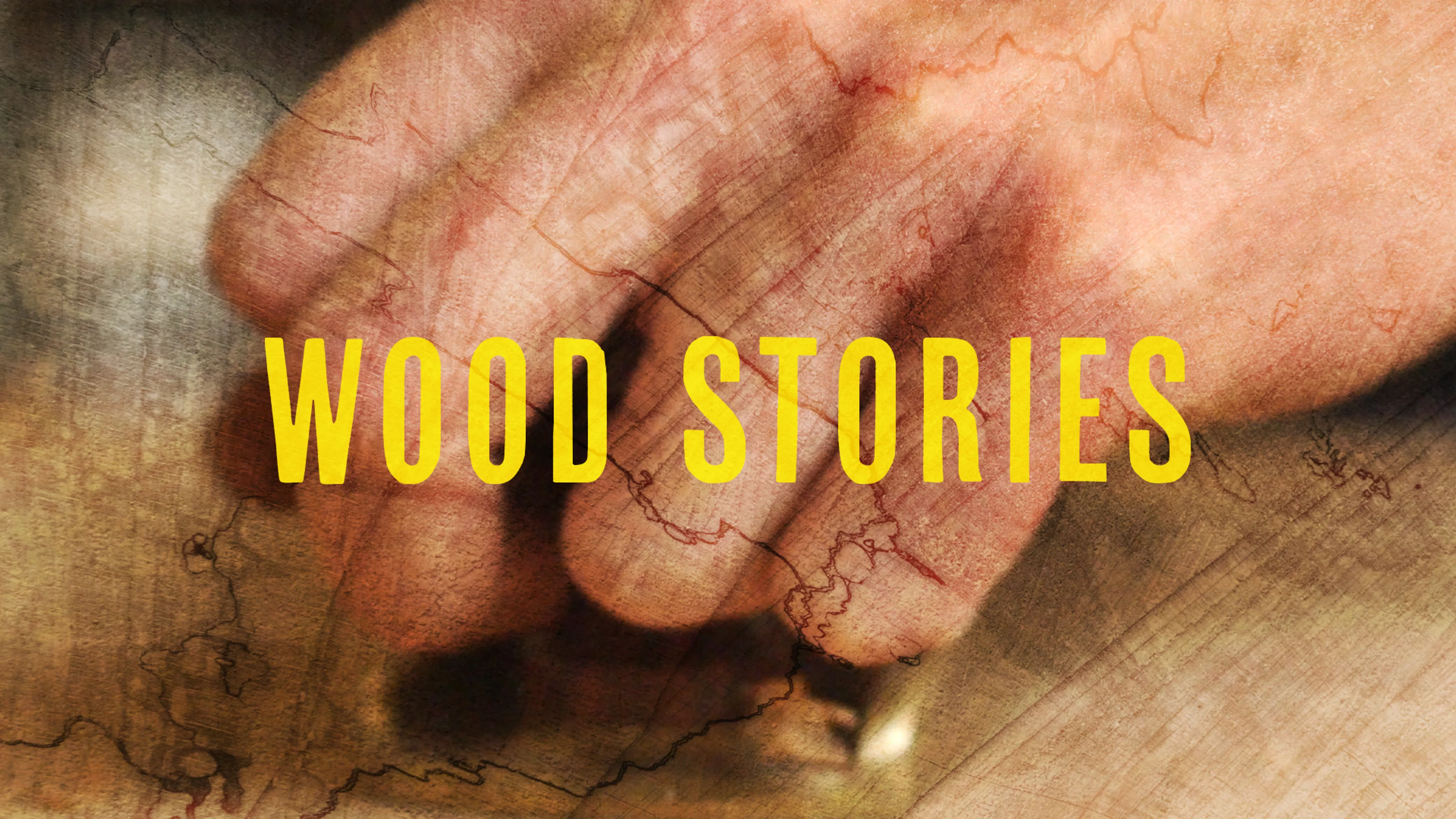 Wood Stories poster